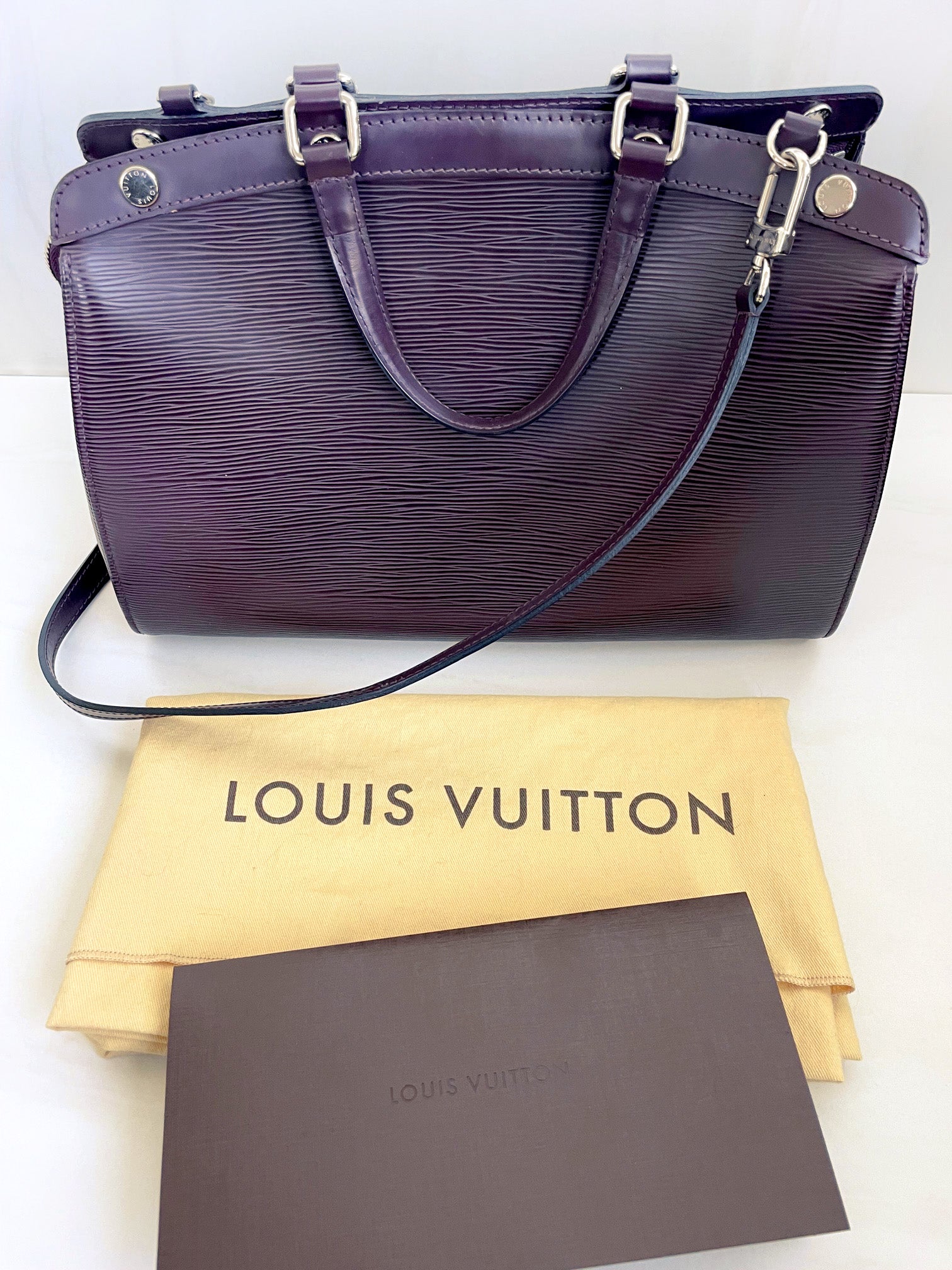 Louis Vuitton Louis Vuitton Speedy 25 Lilac Epi Leather City Hand Bag